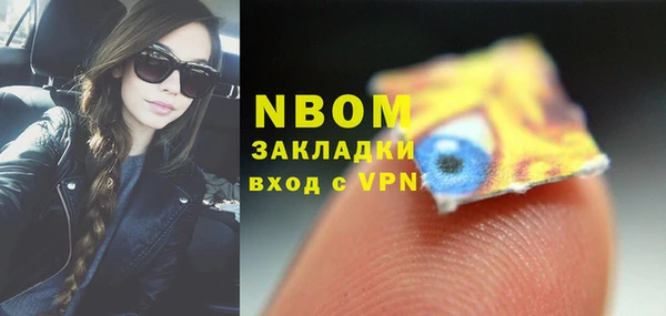 прущие грибы Аркадак