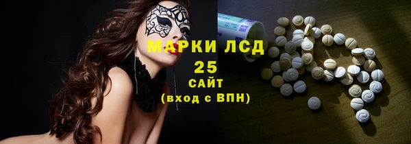 прущие грибы Аркадак